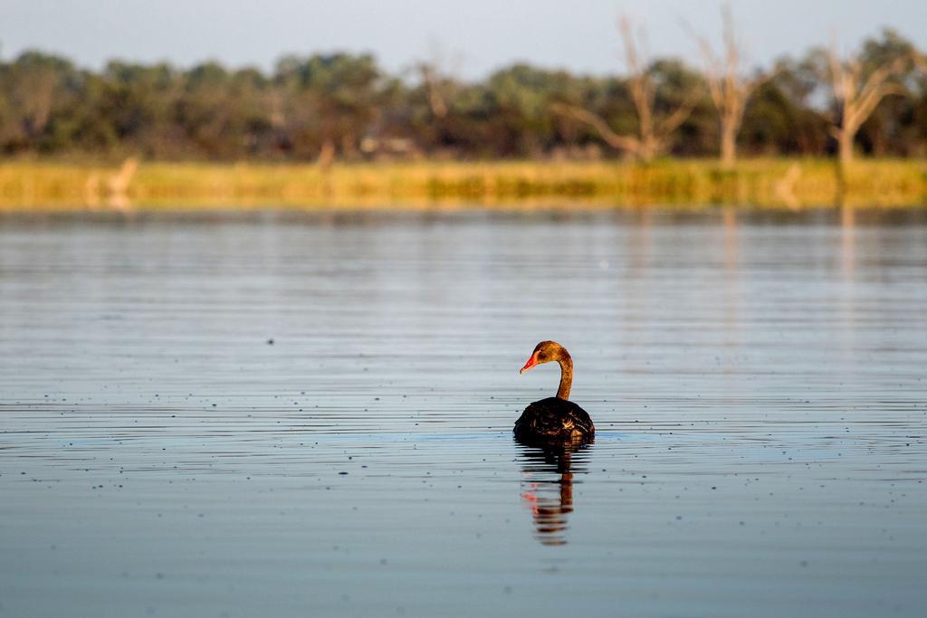 Discovery Parks - Lake Bonney Barmera 外观 照片